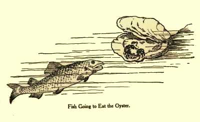Fish Going to Eat the Oyster.