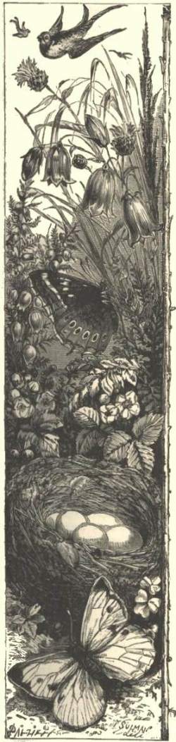 Left border: birds and flowers